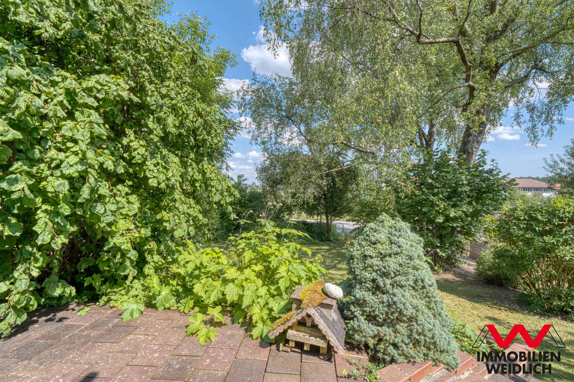 Blick in den Garten